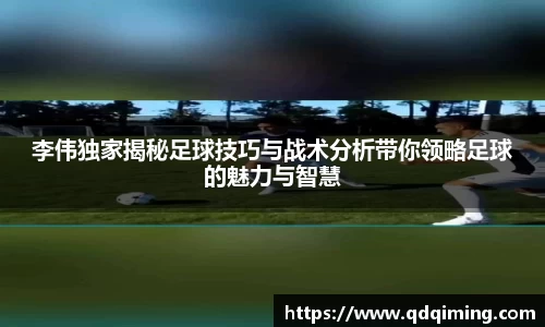 李伟独家揭秘足球技巧与战术分析带你领略足球的魅力与智慧